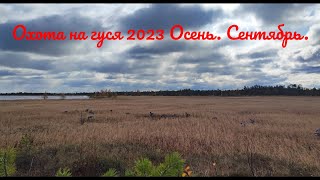 Сгонял на избушку. Охота на гуся 2023. ХМАО. Осень. Сентябрь