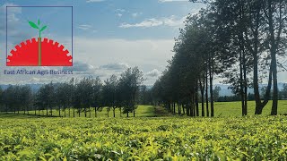 East African Agri-Business – Cultivating a Sustainable Future News