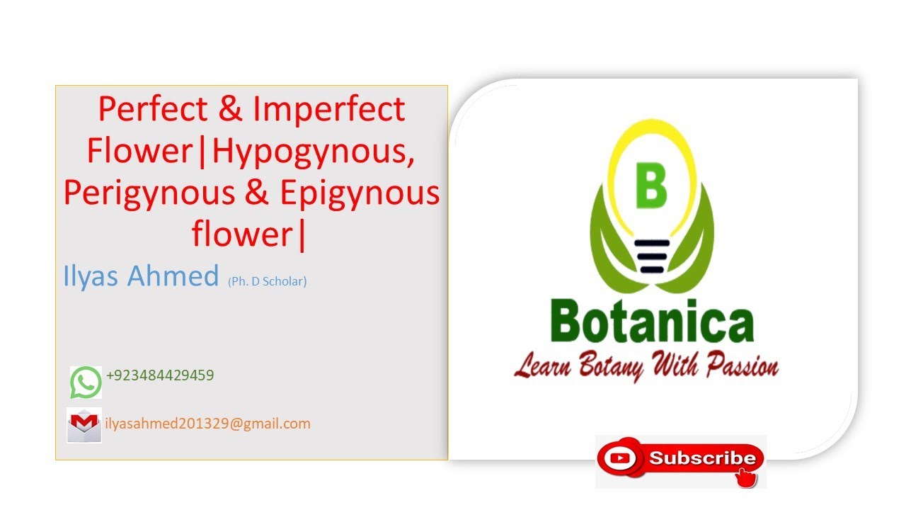 Hypogynous, Perigynous & epigynous flowers Complete, Perfect & Imperfect flower