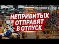 Разделение началось. Кого отправят в отпуск. Польша новости