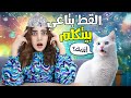 القط بتاعي طلع بيتكلم 