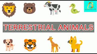 Terrestrial animals name with pictures |10 terrestrial animals |kids learning videos |Burhan kids tv