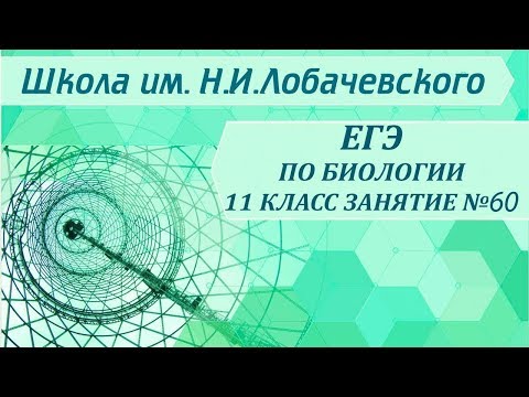 ЕГЭ по биологии 11 класс  Занятие 60 Мейоз. Гаметогенез