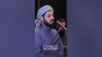#رعد_الكردي ؛ #سورة_النبأ