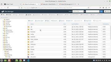 Deploy Laravel-Vue App to cPanel: Step-by-Step Guide for Beginners