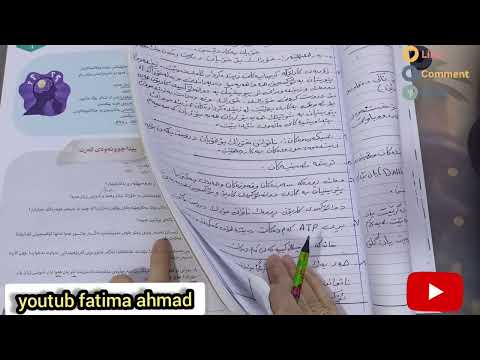 زیندەوەر پۆل٧ ل١٩ 