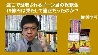 逃亡で没収されるゴーン君の保釈金15億円は果たして適正だったのか？　　by榊淳司