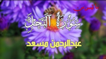 من سورة النحل للقارئ عبدالرحمن مسعد 🌼