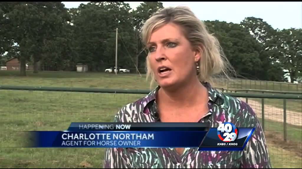 Horse trainer arrested, charged with animal cruelty - YouTube