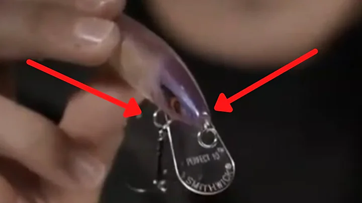 Smithwick Lures Perfect 10 Rogue Fishing Lure