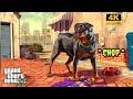 GRAND THEFT AUTO V