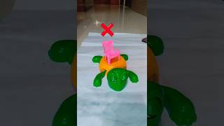 What Do You Want Me To Put On Top Of The Turtle Next Resimi