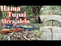 Hama Tupai Merajalela