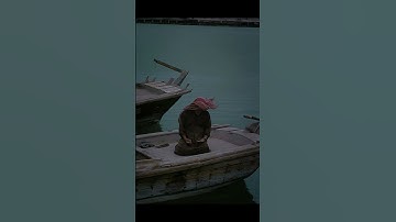 تلاوة خاشعة من سورة الزمر للشيخ سعود الشريم