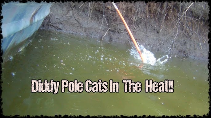 How To Make A Diddy Pole (Bank Pole) For Catfishing