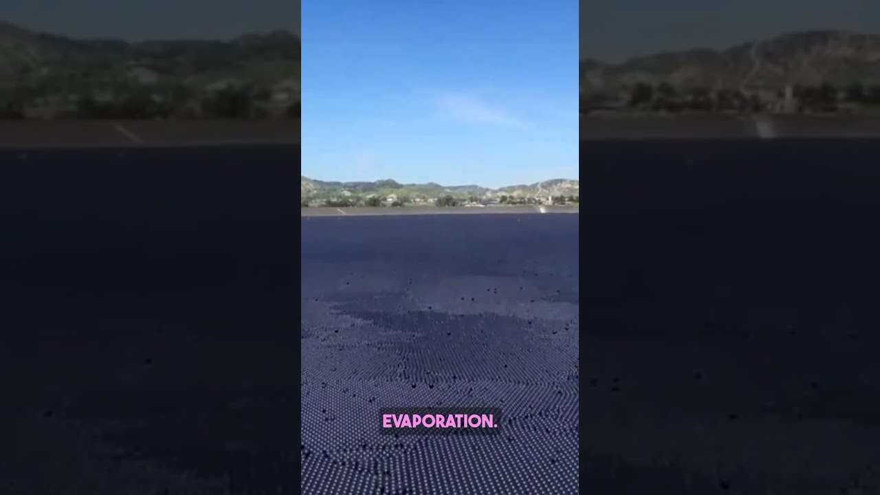 Why Are There 96 Million Balls In Dam Water Shorts