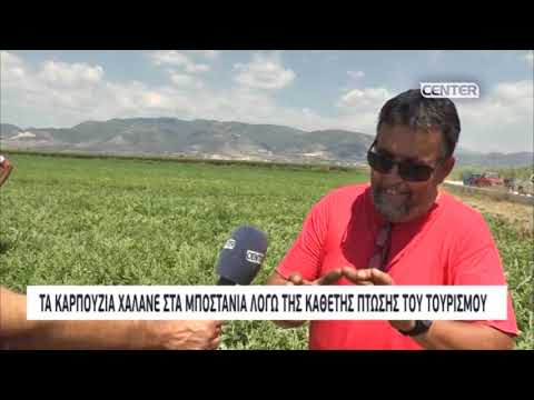 Βίντεο: Τα τετράγωνα καρπούζια είναι ο καρπός της ανθρώπινης ευρηματικότητας