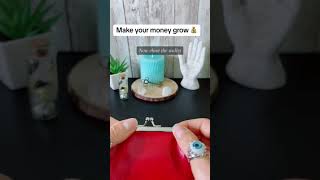 Ritual to make your money grow | Money spell | Ritual to attract abundance and prosperity