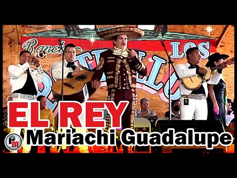 🇲🇽🇻🇪🇺🇸 "El Rey" (cover) Mariachi Guadalupe Tampa en Evento de Reunificación Familiar 2022