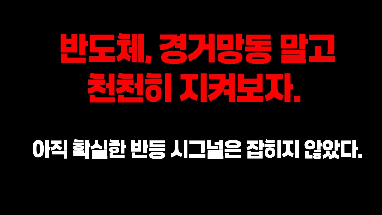 반도체주식, 경거망동 하지말고 천천히 지켜보자.