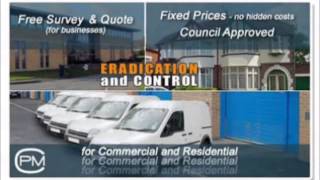 Complete Pest Managment Promotion