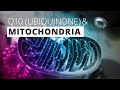 3d medical animation ofq10 and mitochondria