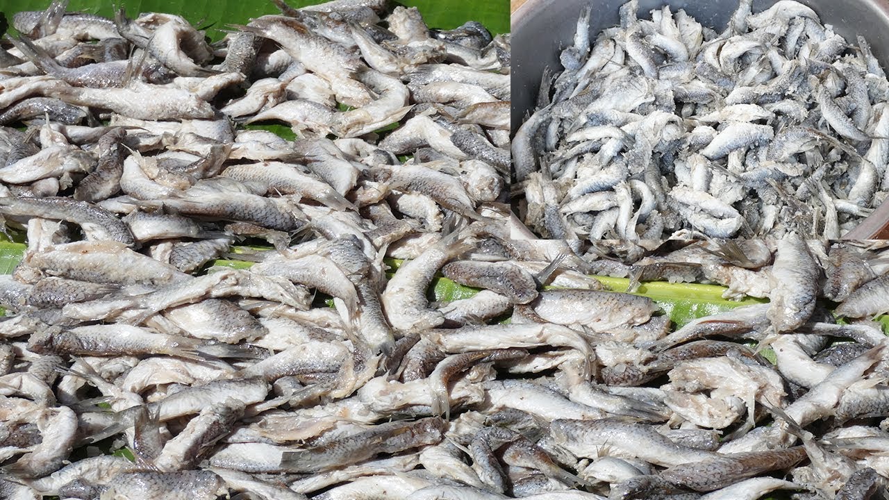 របៀបធ្វើប្រហុក ជាលក្ខណះគ្រួសារ - YouTube