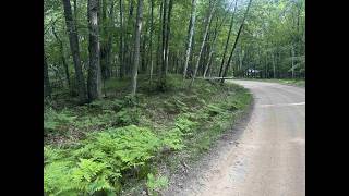 Cherry Lot 968,  Farwell, MI 48622 - Bobbi Gibson - MLS 50213770