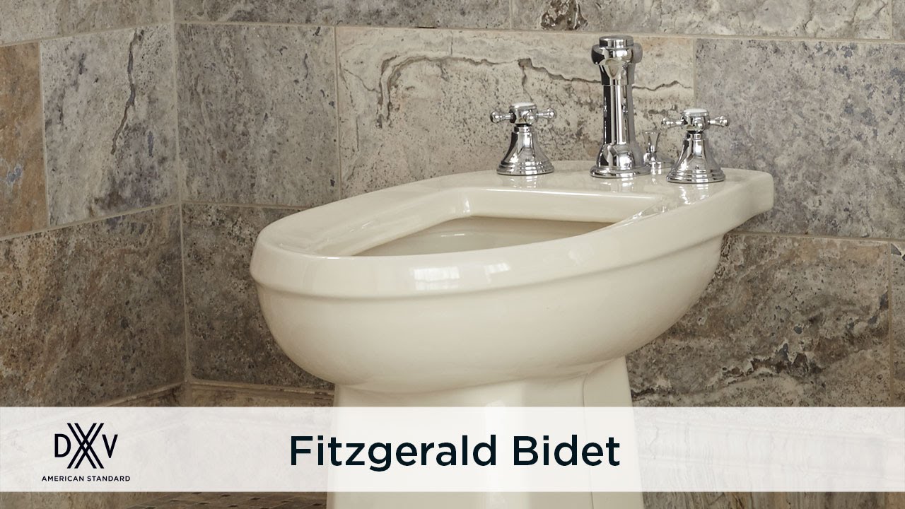 Fitzgerald Bidet And Ashbee Bidet Faucet By Dxv Youtube