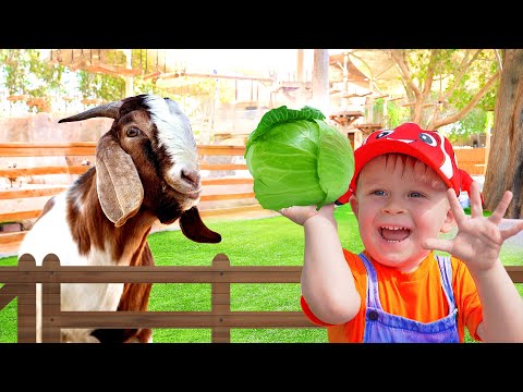 Diana Roma & Oliver beri haiwan makan di Taman Emirates Zoo