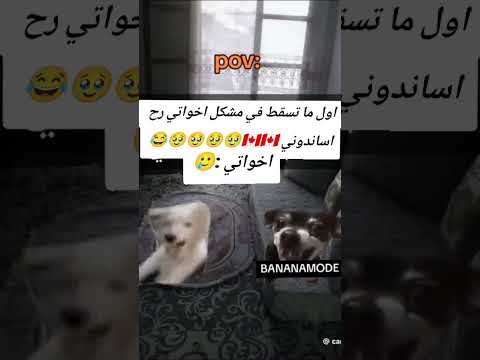 اول ما تسقط في مشكل اخواتي رح اساندوني    اكسبلور