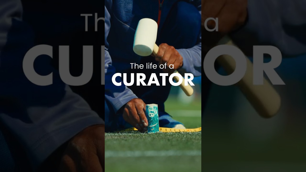 The life of a curator 