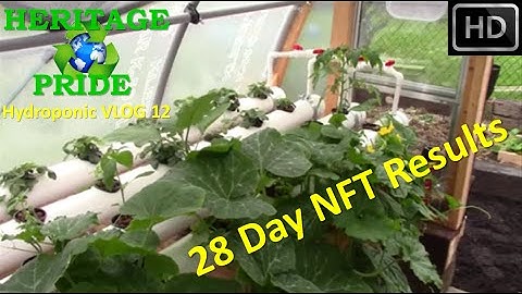 Hydroponic Rail System - VLOG 12 by HPFirearms