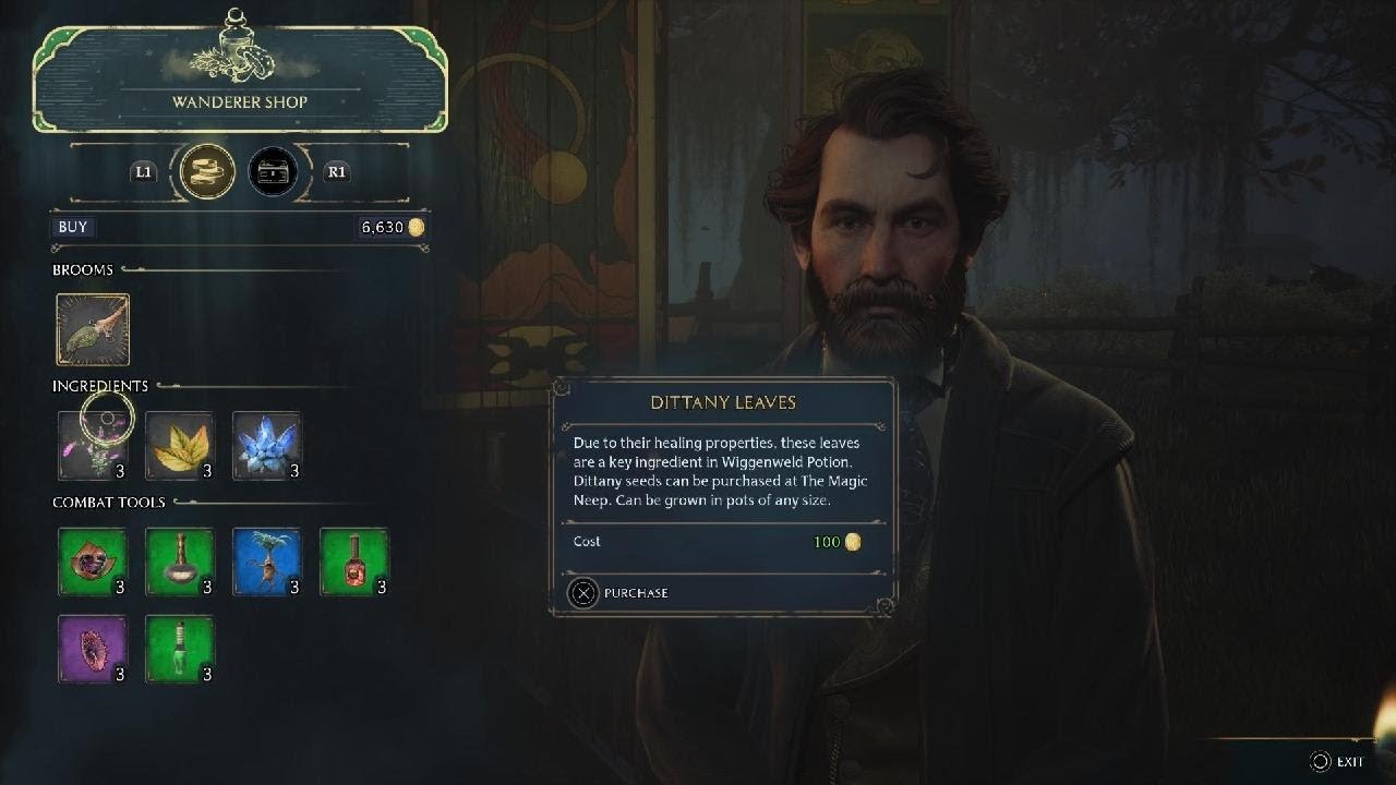 Hogwarts Legacy_breaking camp quest