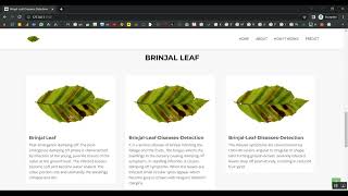 Brinjal Leaf CNN Train Flask in Python Projects