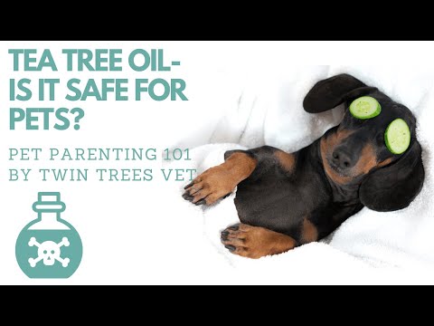 Video: Er tetræolie sikker for hunde?