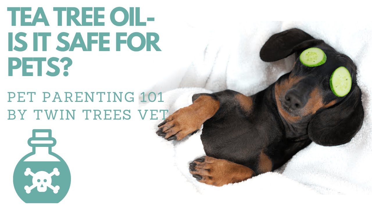 do dogs like tea tree oil