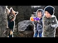 Chased By A Werewolf On Vacation!! Ultimate Nerf Monster Battle!!