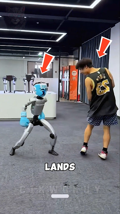When The Robot Apologized Mid-Fight