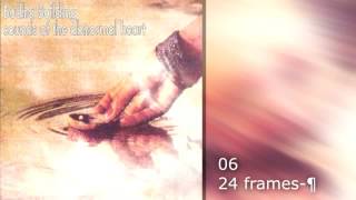 Budha Building   Sounds of the Abnormal Heart   06 24 frames ¶