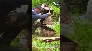 Beekeeping Magic: Install Bees Fast! 🐝