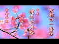 [京都散策]  淀の正月桜( 河津桜)  與杼神社 淀城址 Yodo New Year Cherry Blossoms (Kawazu Cherry Blossoms) kyoto japan  4K