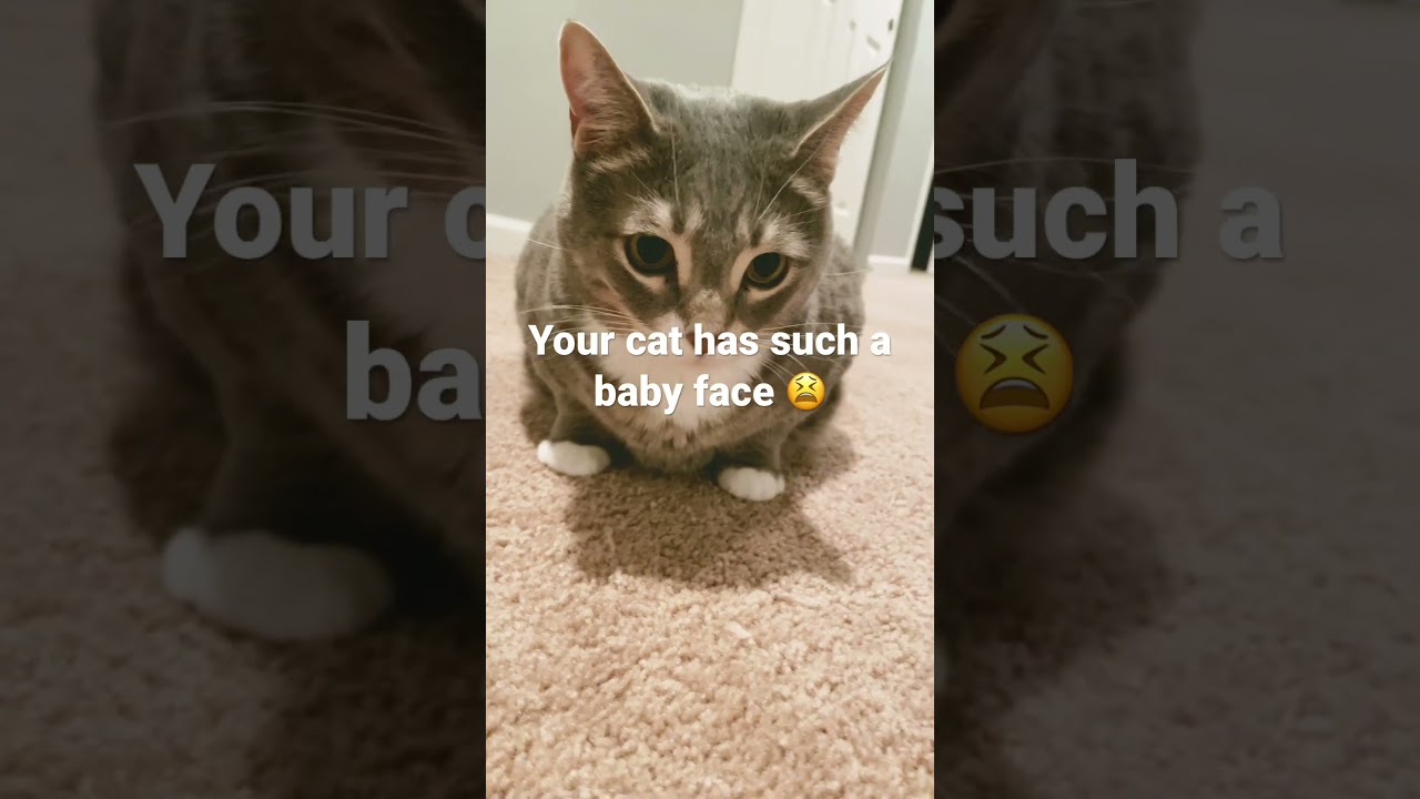 He has the cutest baby face 🥰 