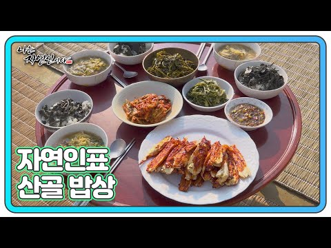 ＜자연밥상＞ <strong>곤드레밥</strong> &amp;amp; 황태 된장국 &amp;amp; 더덕 양념구이 MBN 250205 방송