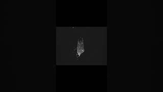 new LP by Through a Glass, Darkly #doomgaze #postrock #ambientmusic #newmusic