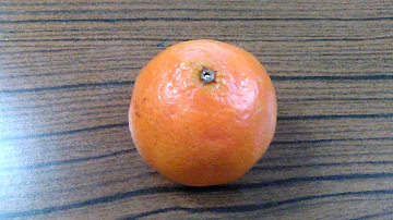 Quelle est la différence entre une clémentine et une orange ?