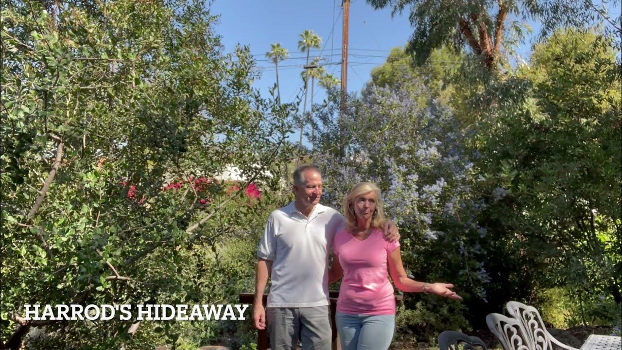 Harrod's Hideaway California Native Plant Society San Diego Garden