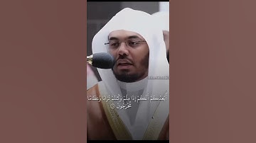 سوره المؤمنين الشيخ ياسر الدوسري 🤍