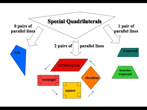 case study questions on understanding quadrilaterals