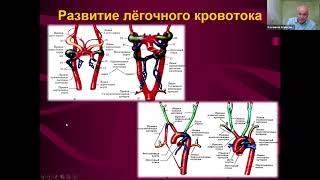 Лекция: Врожденные пороки сердца